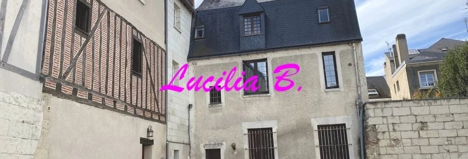 Appartement 2 Pièces 33 m² à louer à Tours (37000)