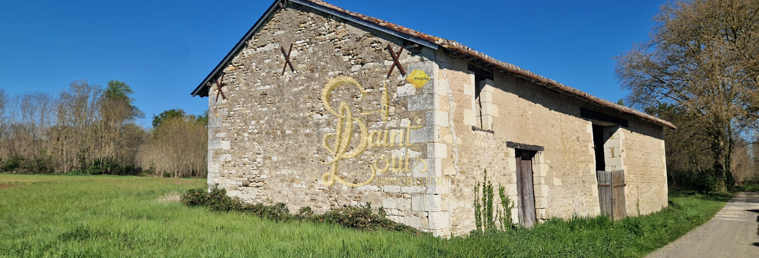 Divers 1 Pièce 125 m² à vendre à Chaveignes (37120)