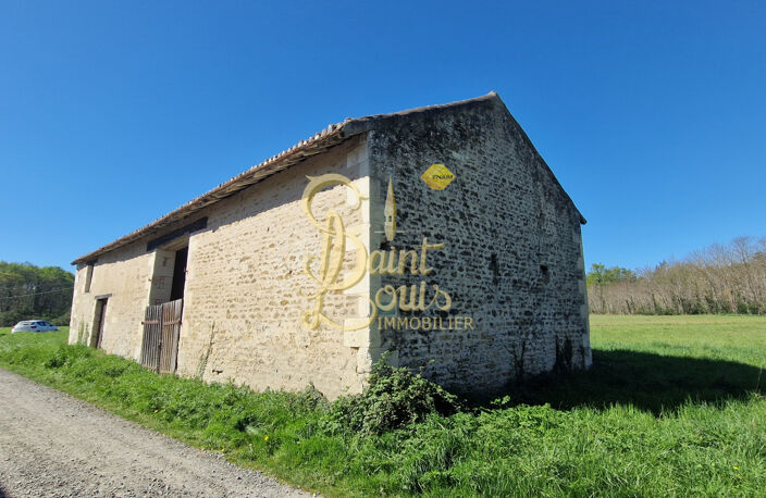 GRANGE EN PIERRE DE 125 M2 — photo 4
