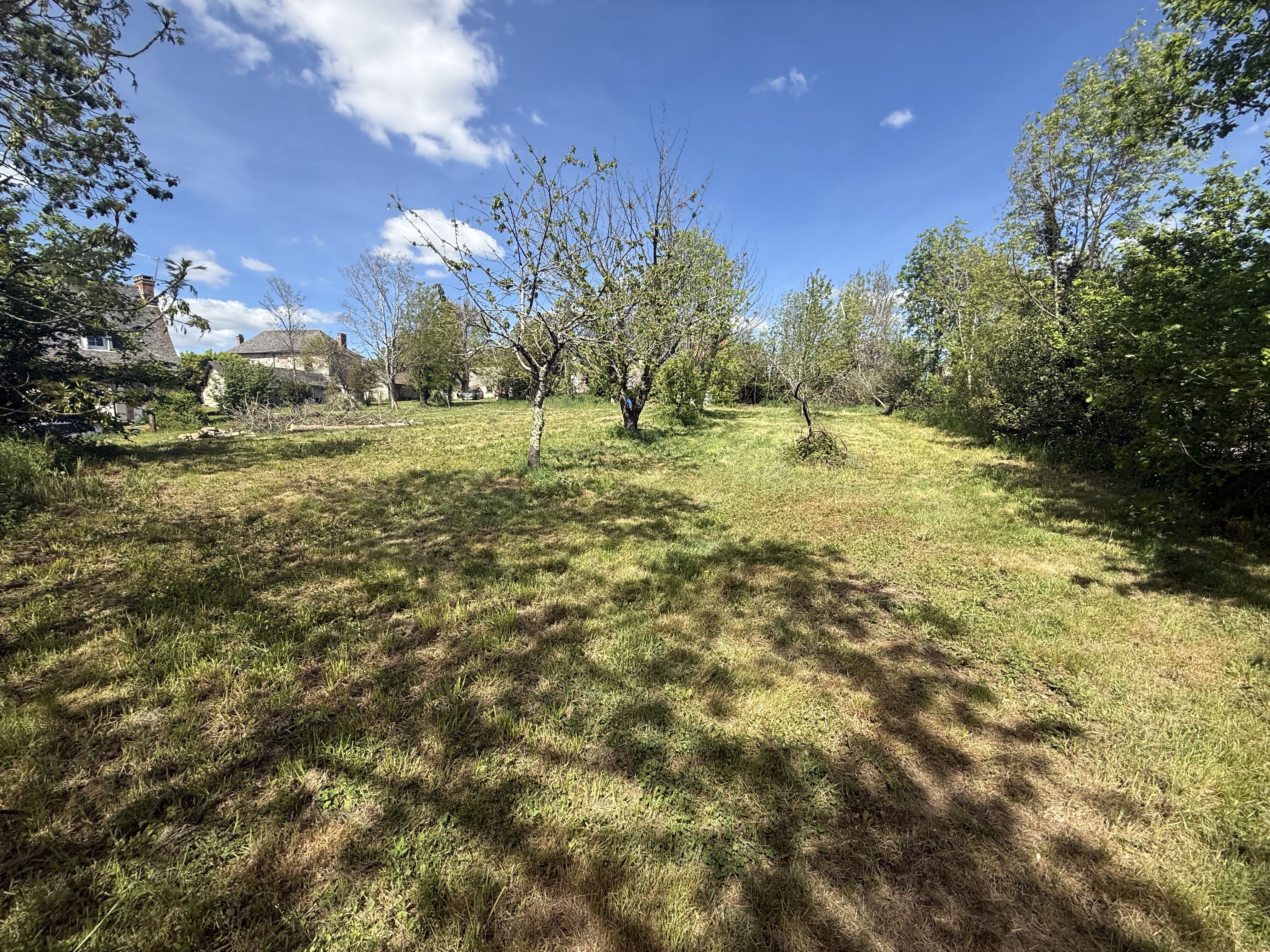 Terrain plat 1013 m² – Ensoleillé – Calme – À quelques minutes de Brive