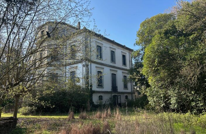 Château — photo 2