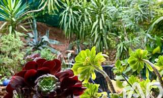 Appartement 4 Pièces 84 m² à vendre à Toulon (83000)