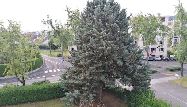 Appartement 2 pièces  à louer Ambilly 74100