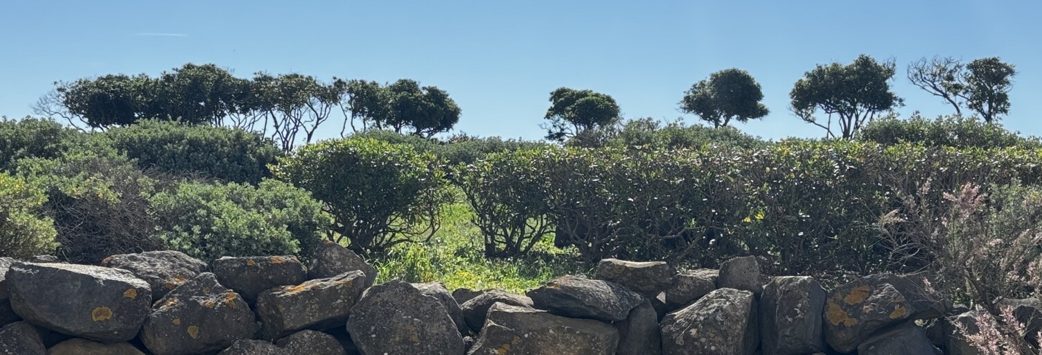 Appartement 1 Pièce 27 m² à vendre à Agde (34300)