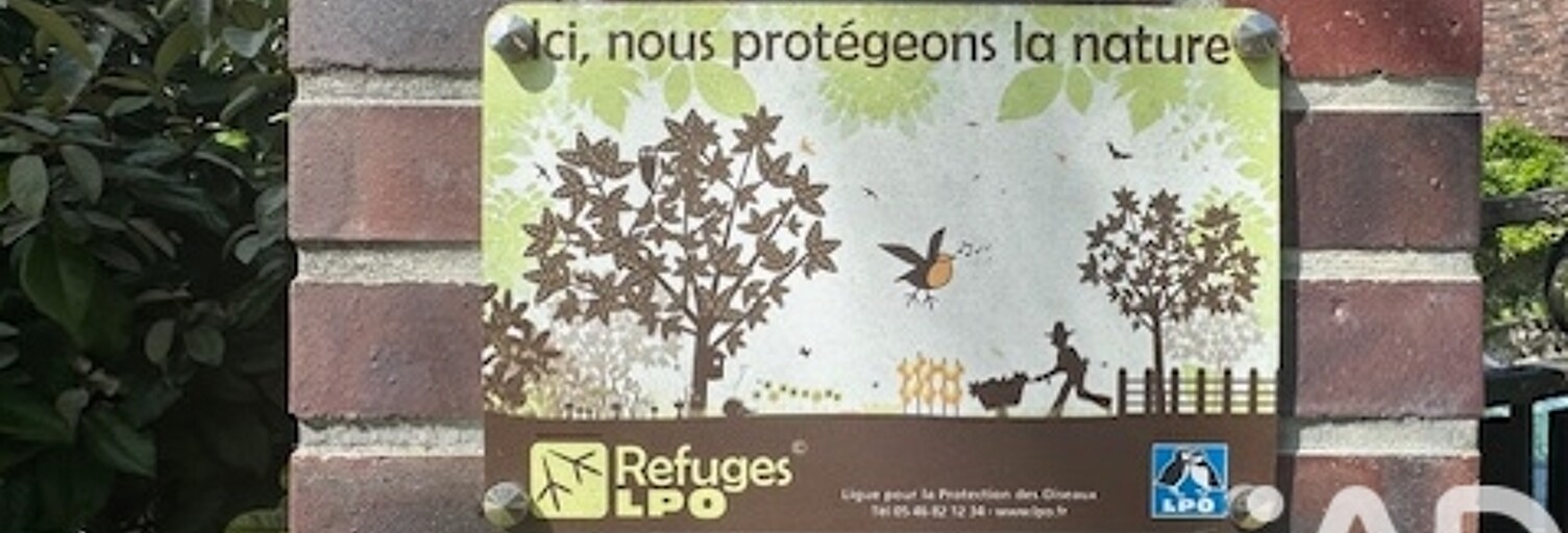 Photo N° 2
