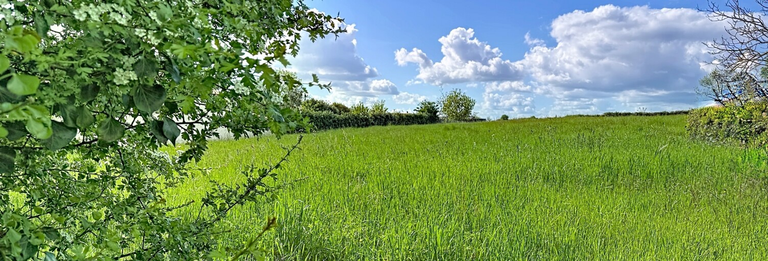 Terrain  1694 m² à vendre à Saint-Michel-le-Cloucq (85200)