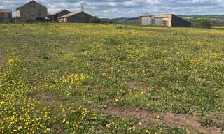 Terrain  1656 m² à vendre à Belmont-sur-Rance (12370)