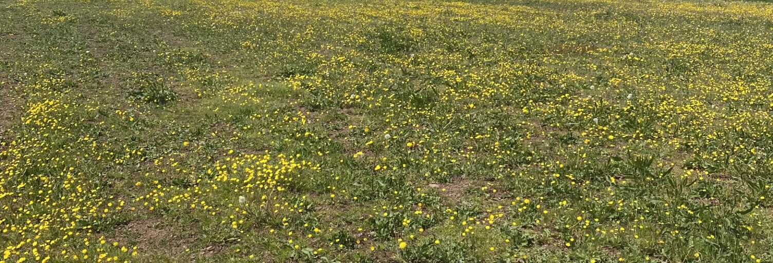 Terrain  1656 m² à vendre à Belmont-sur-Rance (12370)