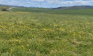 Terrain  1696 m² à vendre à Belmont-sur-Rance (12370)