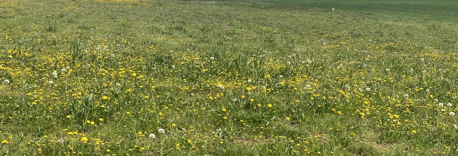 Terrain  1696 m² à vendre à Belmont-sur-Rance (12370)