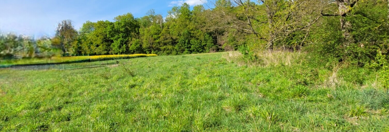 Terrain  5693 m² à vendre à La Ferté-Gaucher (77320)