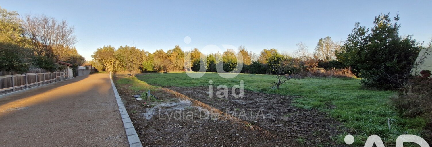 Photo N° 2