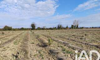Terrain  4952 m² à vendre à Sainte-Cécile-les-Vignes (84290)