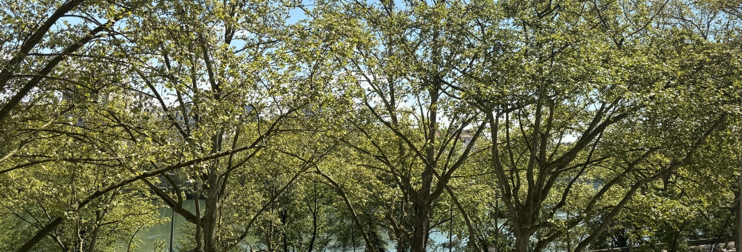 Appartement 2 Pièces 52 m² à vendre à Lyon 4 (69004)