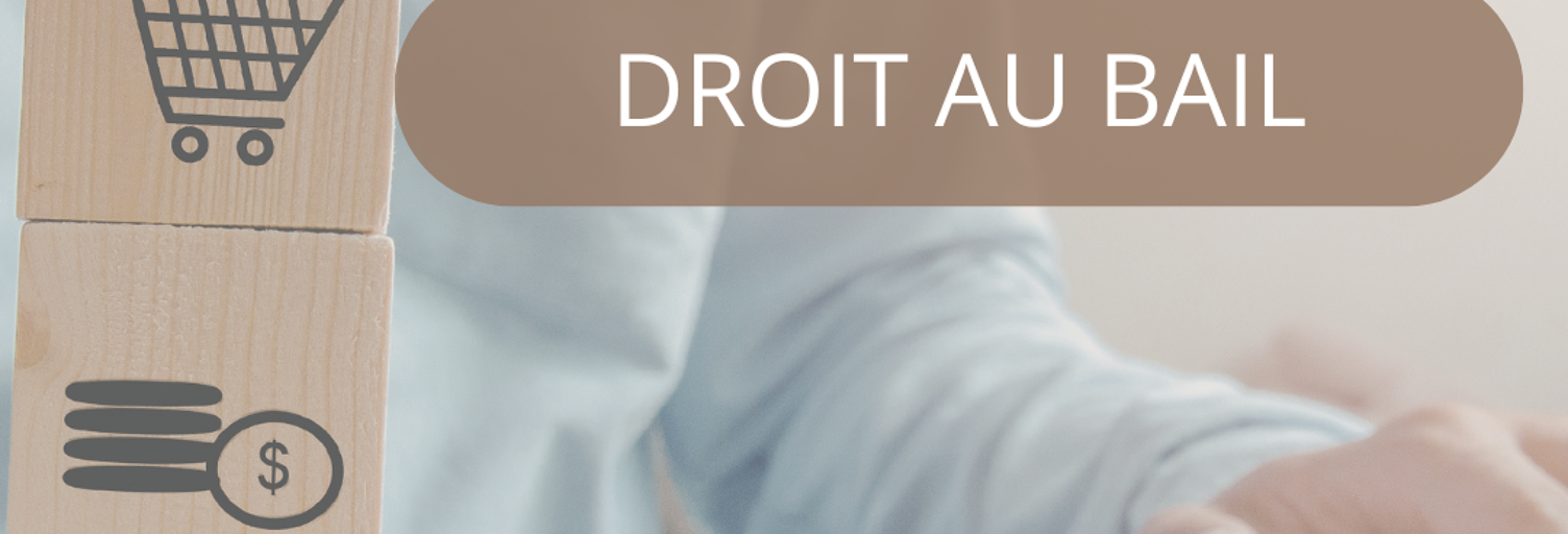 Commerce  36 m² à vendre à Bayeux (14400)