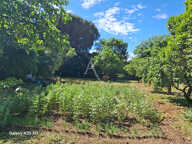 Maison L Isle Jourdain sur presque 3590 m² de terrain — photo 3