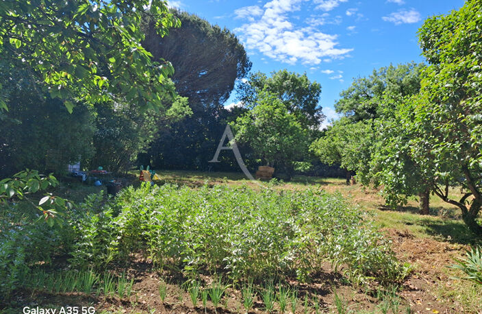Maison L Isle Jourdain sur presque 3590 m² de terrain — photo 3