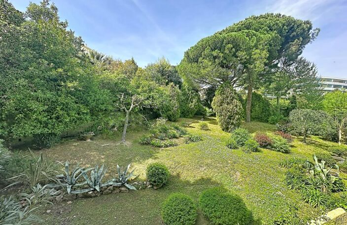 STUDIO MEUBLE - 56 Avenue Jean de Lattre de Tassigny, Résidence La Marjolaine - 06 400 CANNES — photo 3