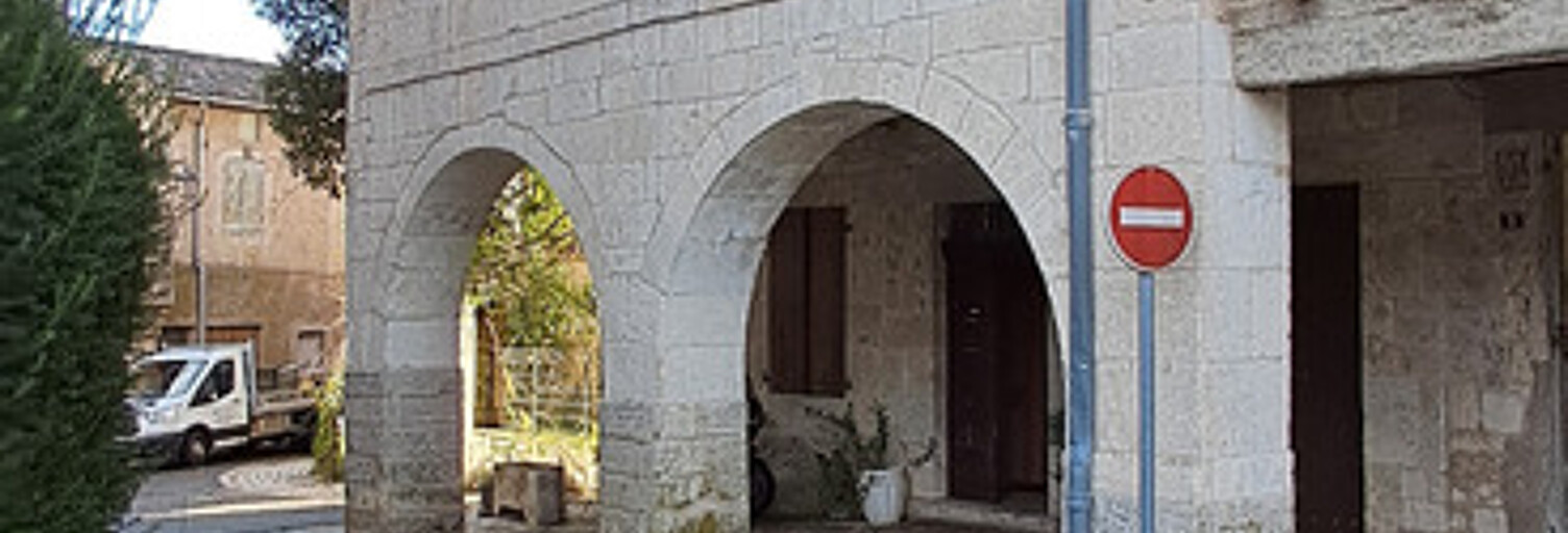 Maison 10 Pièces 233 m² à vendre à Montpezat-de-Quercy (82270)