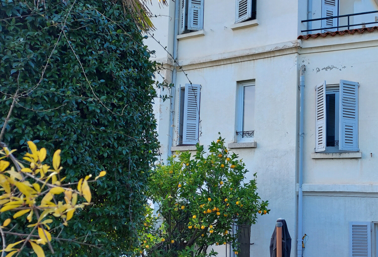 Ajaccio centre ville maison de Maître de 320m2 garage vue me — photo 1