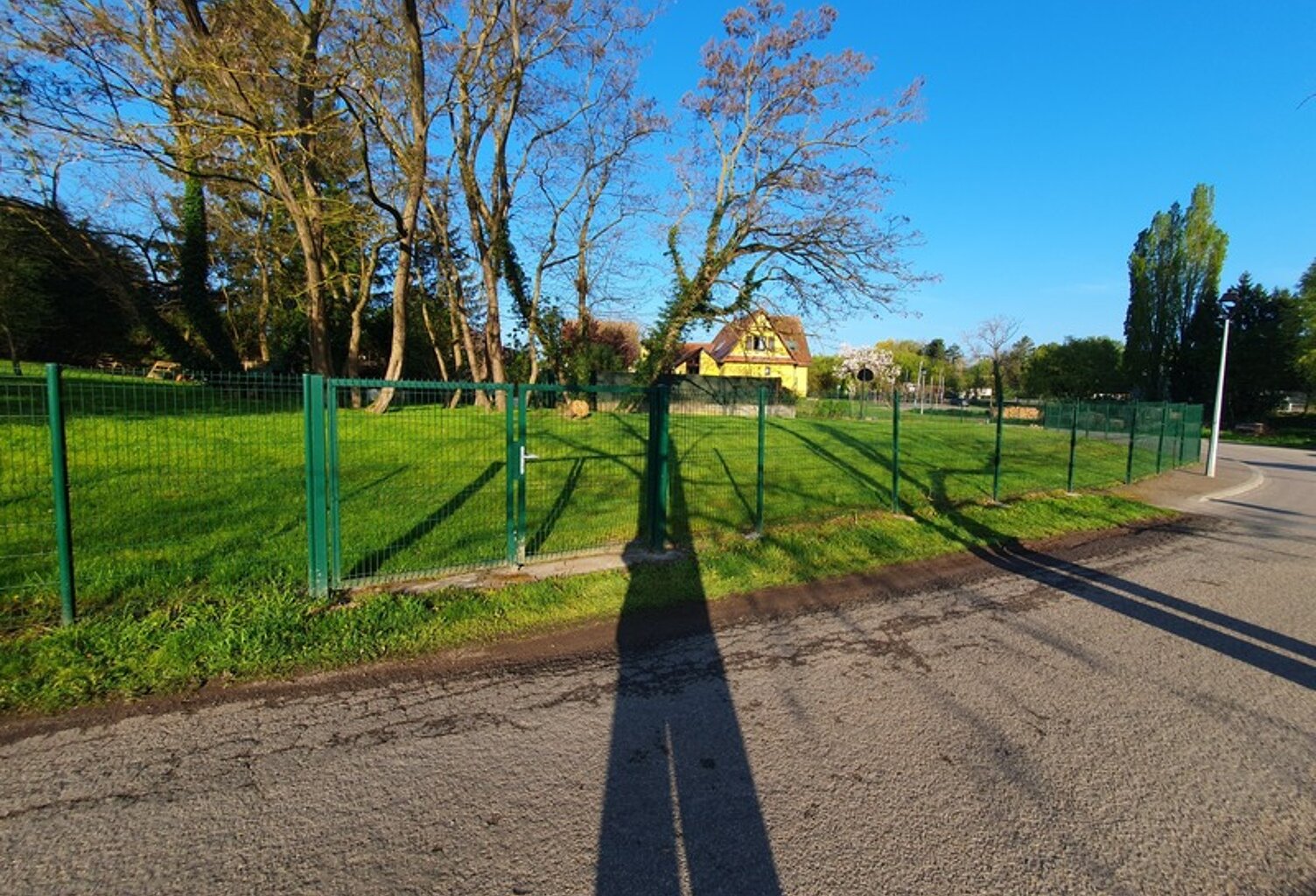 🌿 Un cadre de vie idéal aux portes de Molsheim ! 🌿 — photo 1
