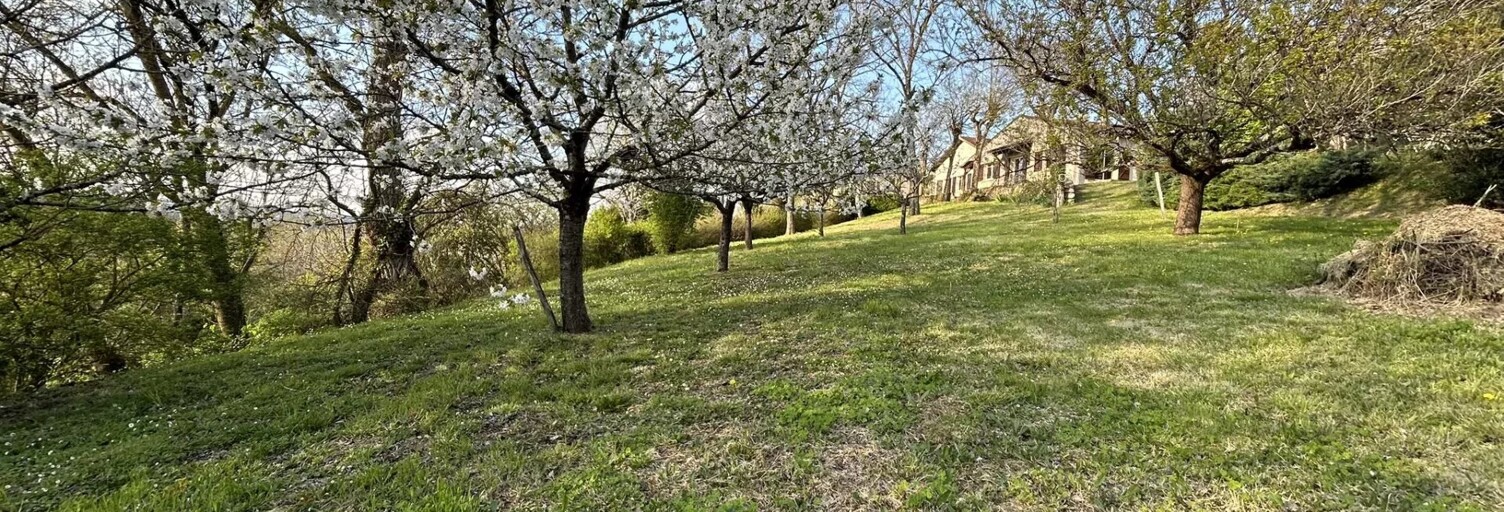Maison 8 Pièces 171 m² à vendre à Lectoure (32700)