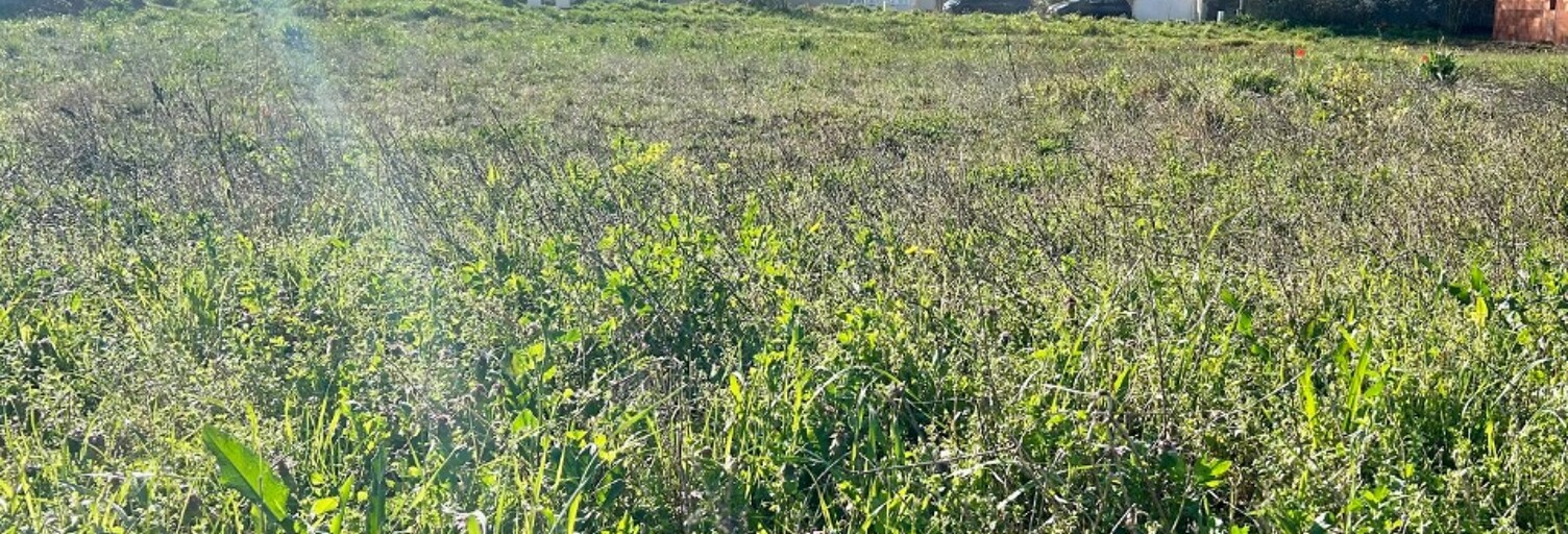 Terrain  385 m² à vendre à Ballon (17290)