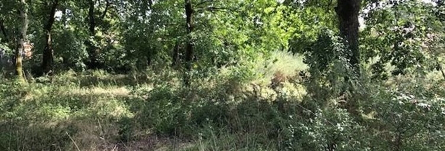 Terrain  708 m² à vendre à Salles (33770)