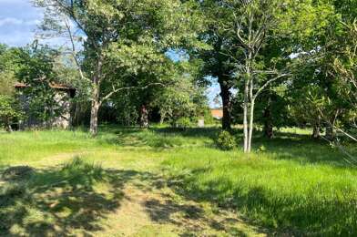 Terrain  350000 €