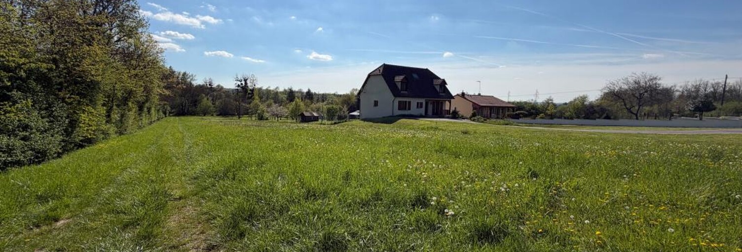 Terrain  2835 m² à vendre à Laimont (55800)