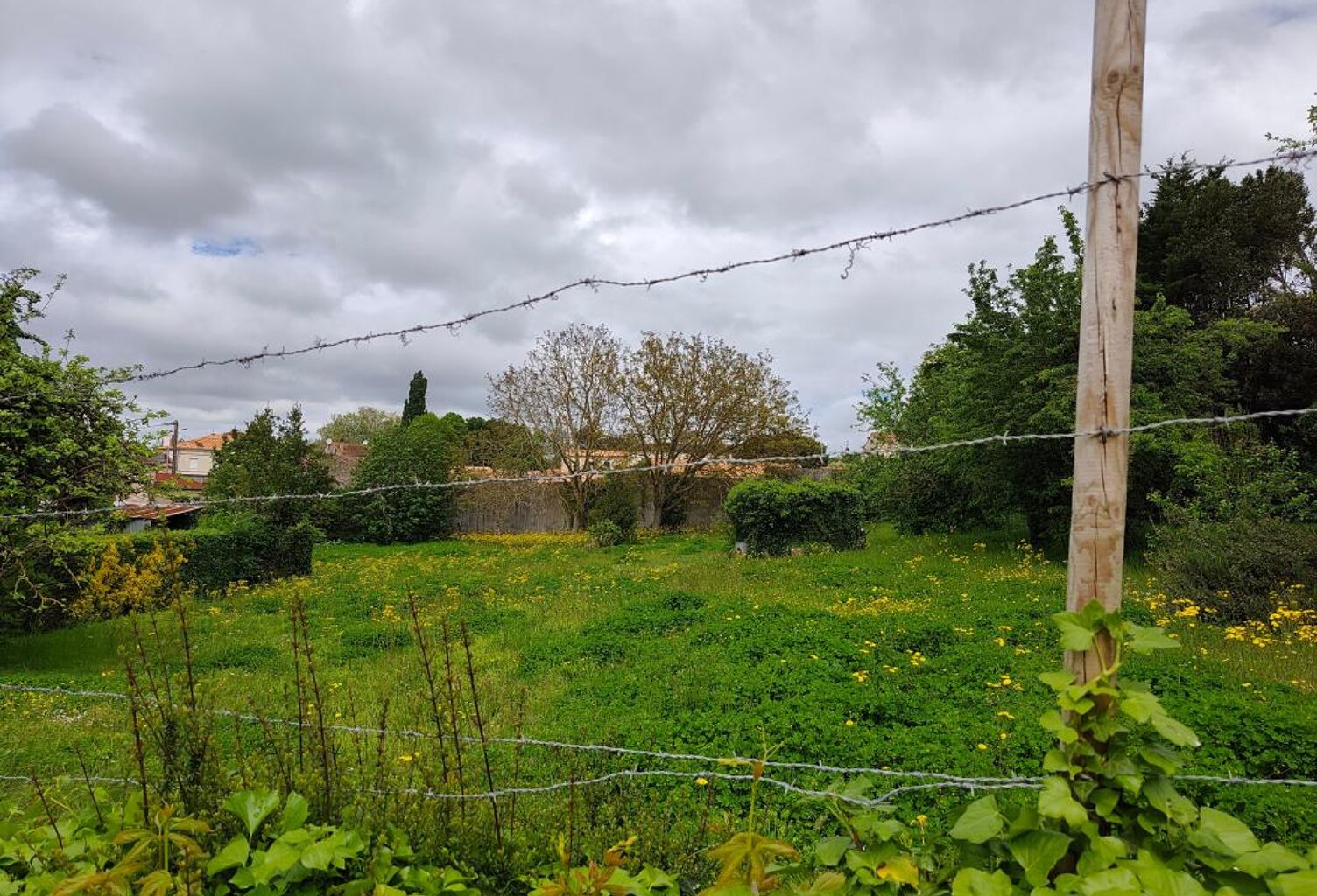 Terrain À Vendre — photo 1