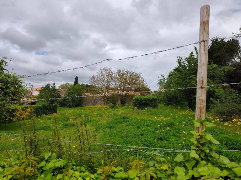 Terrain À Vendre — photo 1
