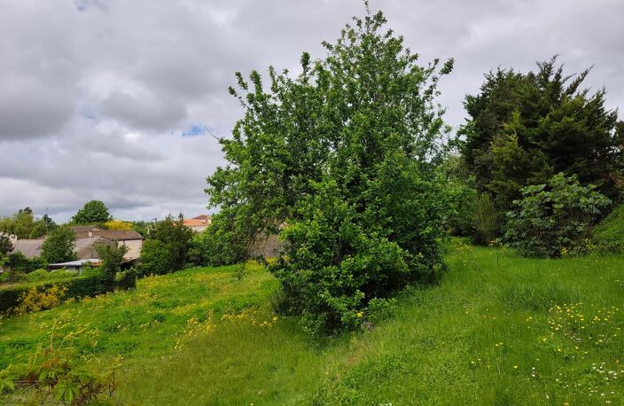 Terrain À Vendre — photo 3