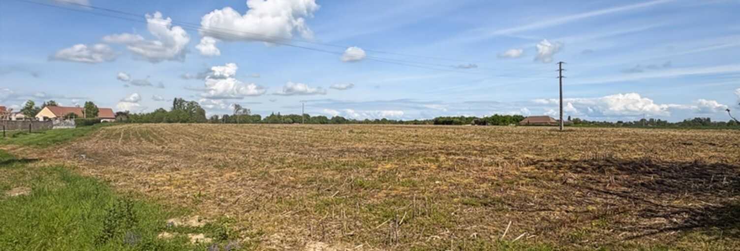 Terrain  8765 m² à vendre à Saint-Christophe-en-Bresse (71370)