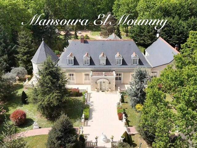 ✨ PROPRIÉTÉ D'EXCEPTION — DEMEURE DE PRESTIGE ✨ Chambray-lès-Tours (37) — photo du bien