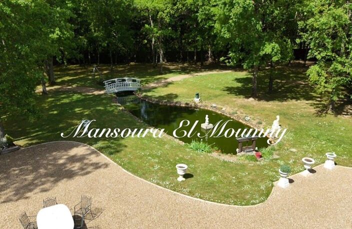✨ PROPRIÉTÉ D'EXCEPTION — DEMEURE DE PRESTIGE ✨ Chambray-lès-Tours (37) — photo 3