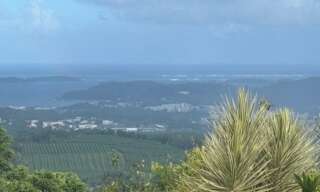 Maison 5 Pièces 272 m² à vendre à Le François (97240)