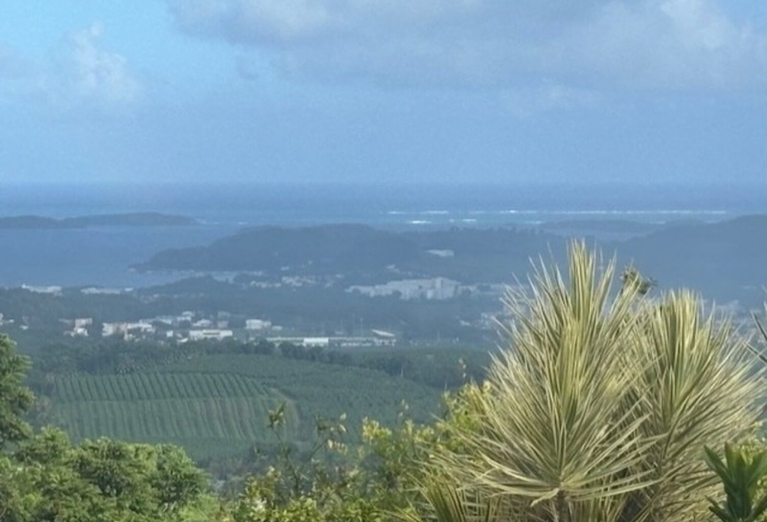 Grande villa à vendre composée de 3 appartements avec une magnifique vue mer LE FRANCOIS (972) — photo 1