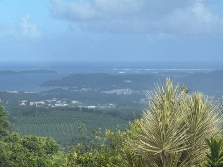 Grande villa à vendre composée de 3 appartements avec une magnifique vue mer LE FRANCOIS (972) — photo 1