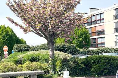 Appartement 5 pièces 262000 €