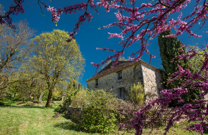 Charmante Maison de campagne,+/-170m2, 4 chambres, piscine, 5676M2 jardin — photo 2