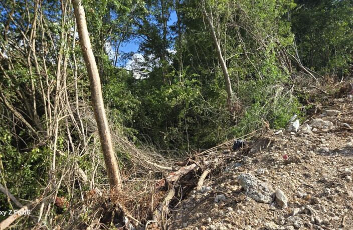 terrain Gosier 97190 — photo 2