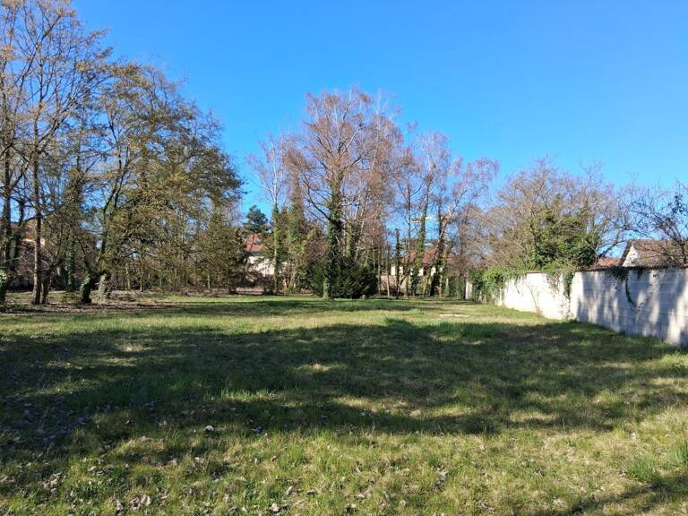 Terrain — photo 1