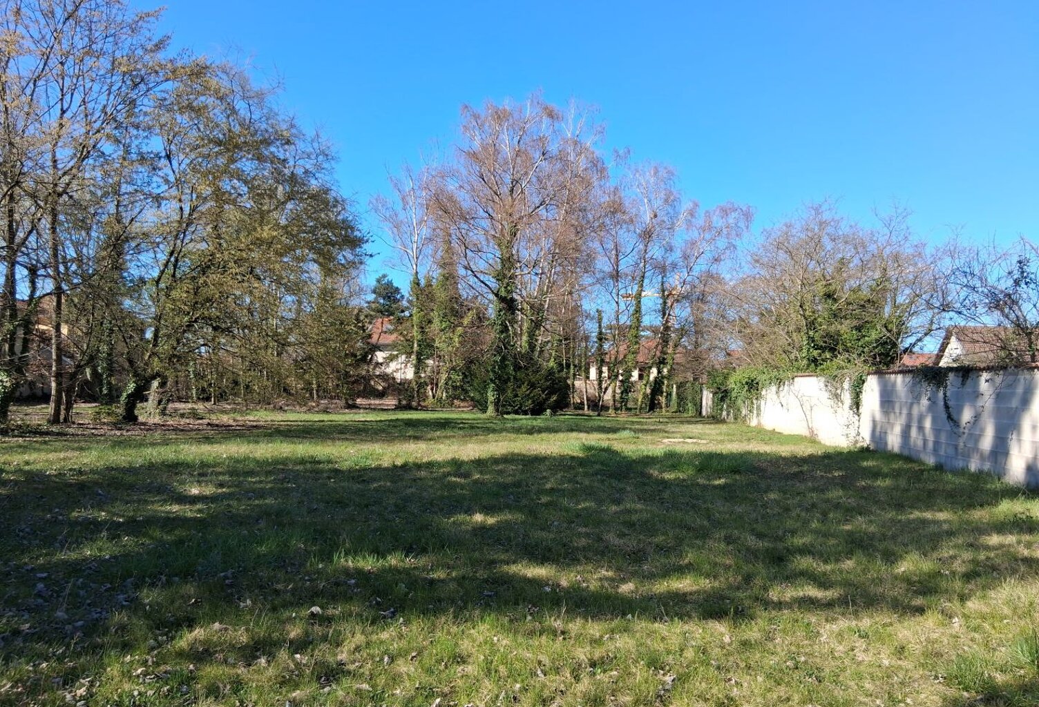 Terrain — photo 1
