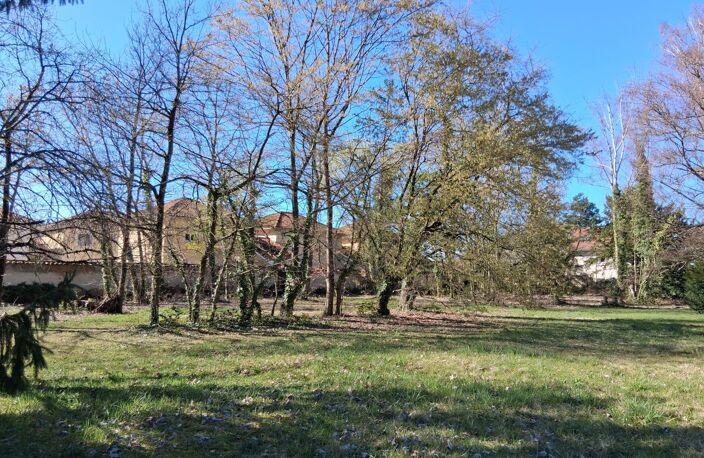Terrain — photo 2