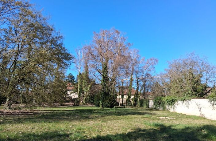 Terrain — photo 3