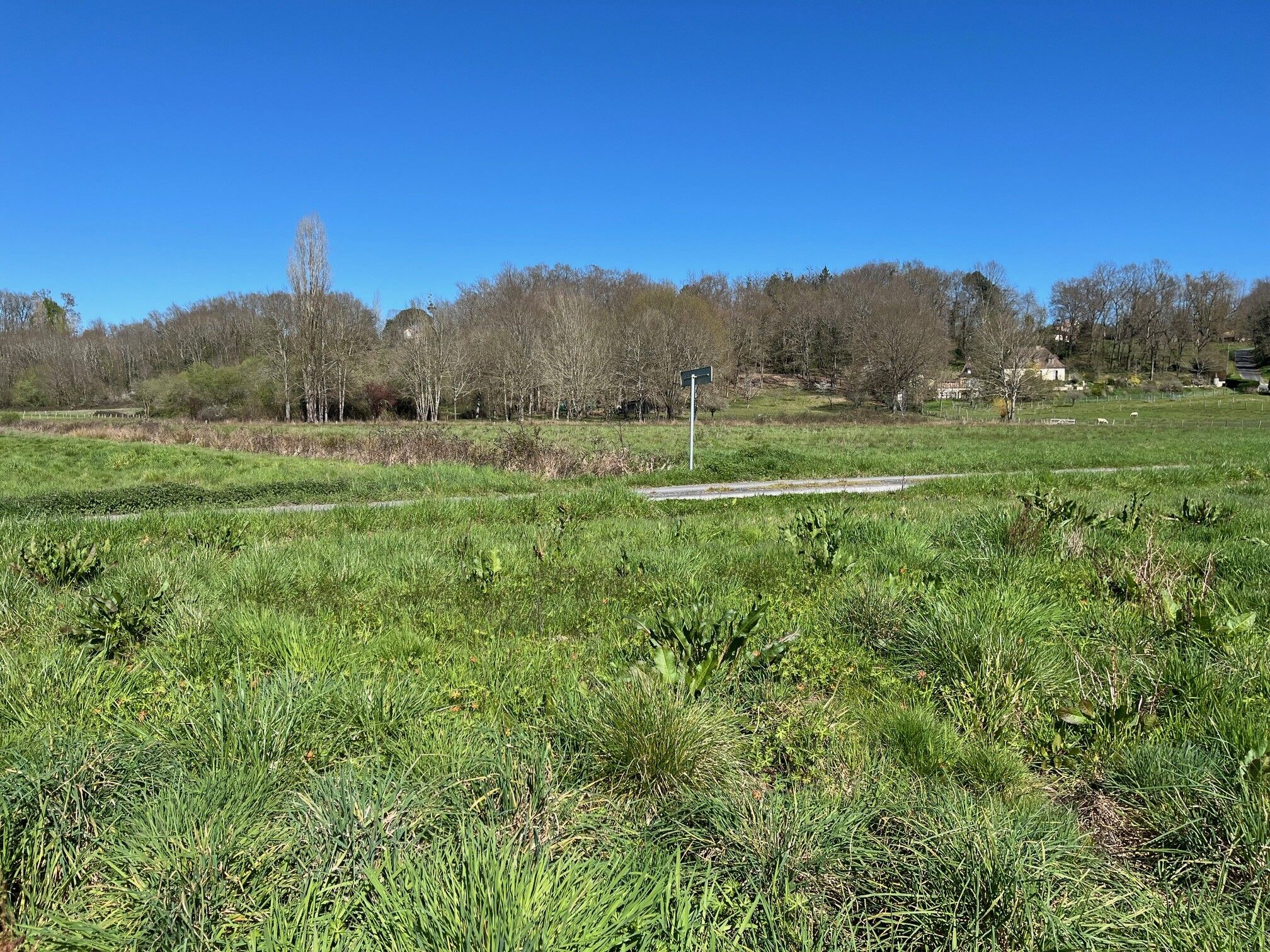 Agence immobilière de Les maisons Aura de Bergerac