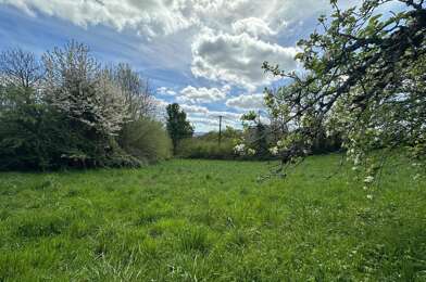Terrain  30000 €