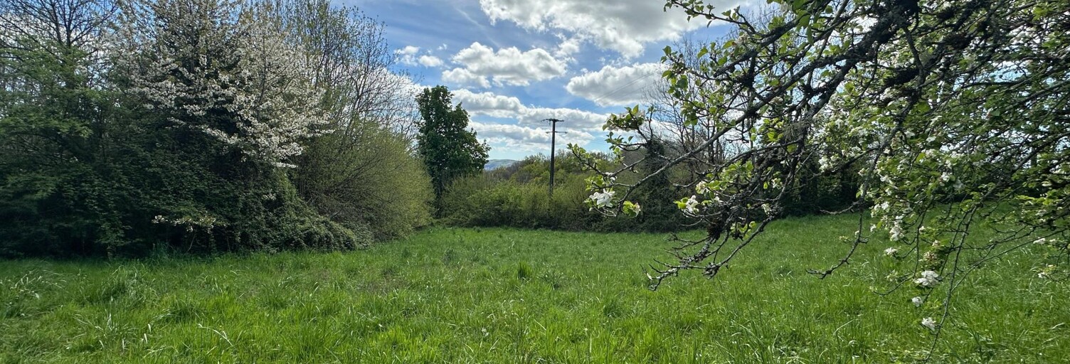 Terrain  1995 m² à vendre à Montredon-Labessonnié (81360)