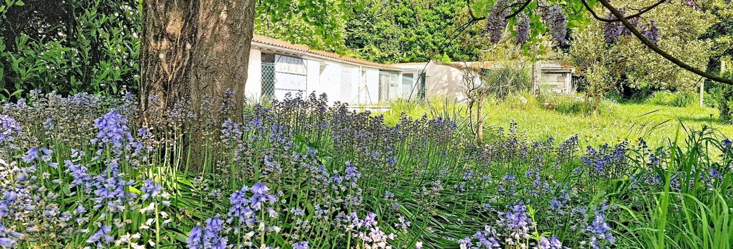 Maison 5 Pièces 105 m² à vendre à Curzon (85540)